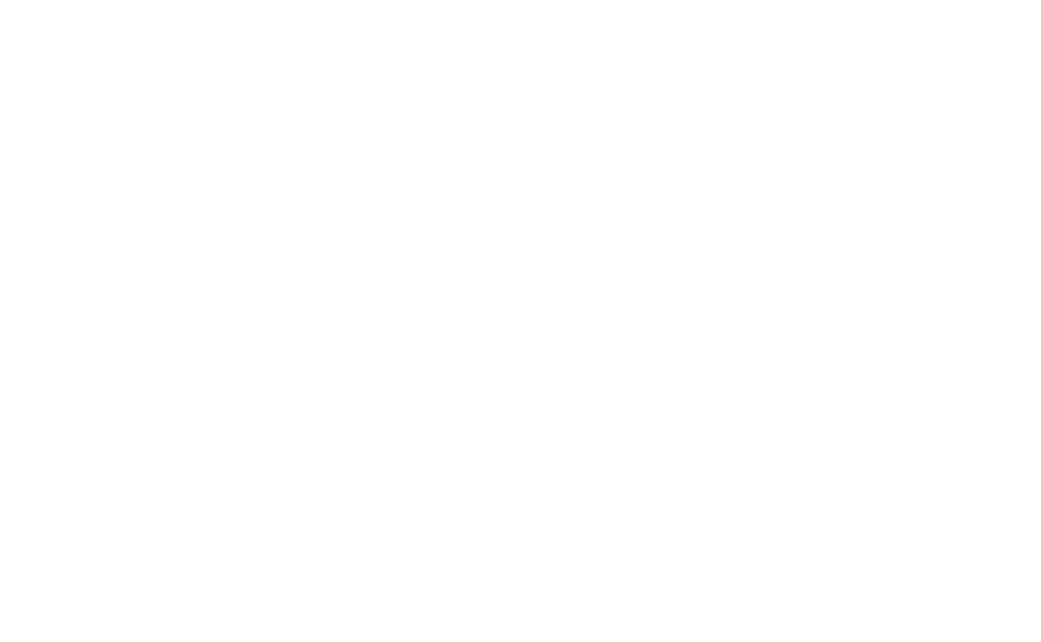 logo main